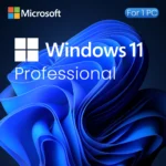 windows-11-professional-for-1PC-getdigi_1